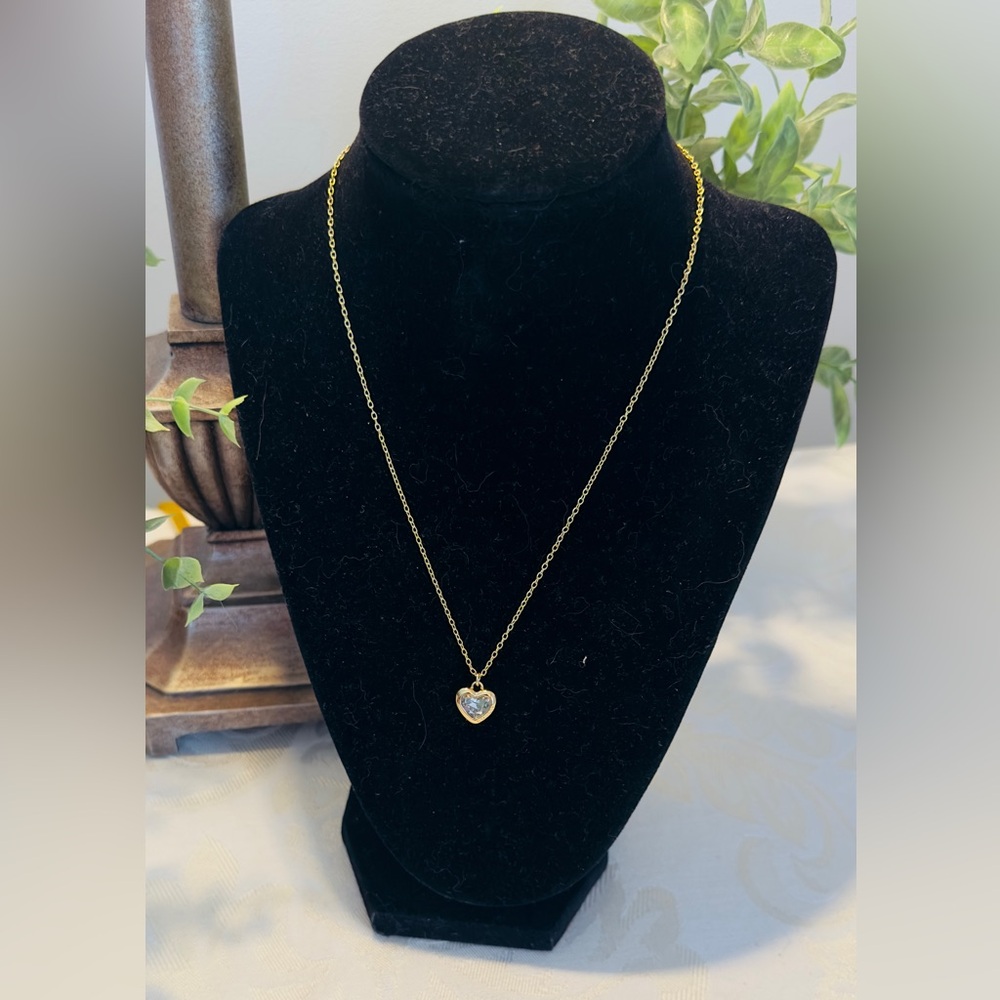 Coach NWOT Heart Pendant Necklace